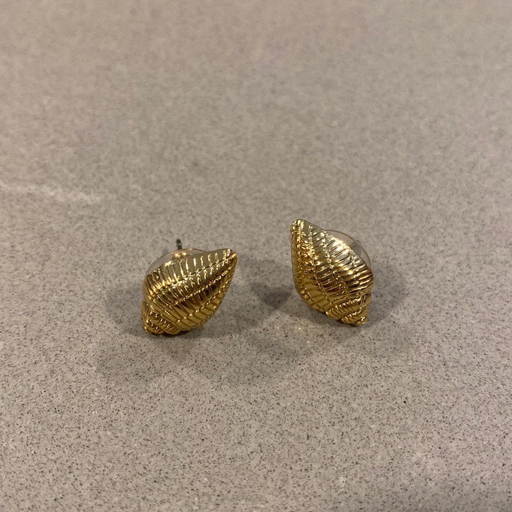 Seashell Earrings